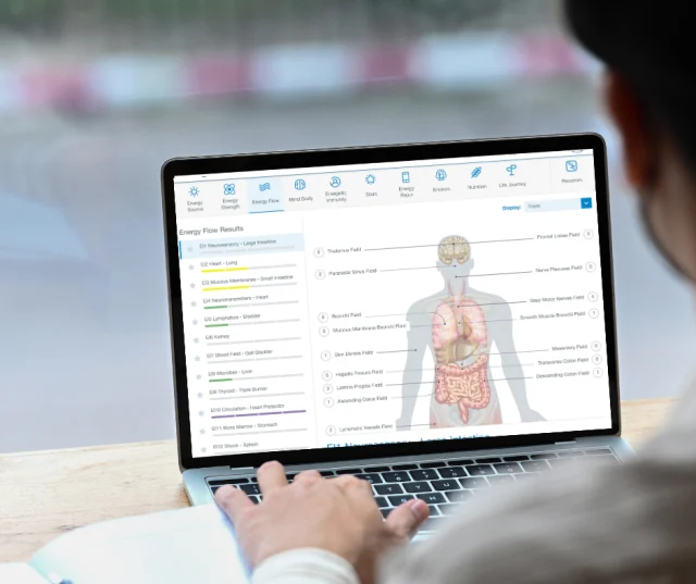 a laptop computer screen showing a screen result of a NES body energy scan with a diagram of the human body anatomy and scan results on the left hand side of the screen