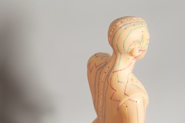 Medical acupuncture model of human on gray background